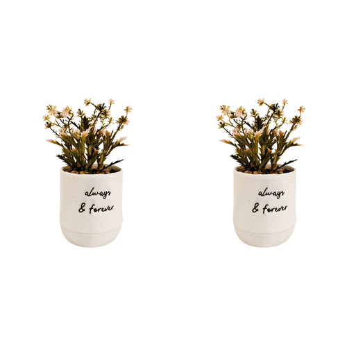 2x Urban Positivity Quote 11cm Always Forever Potted Flower Artificial Decor