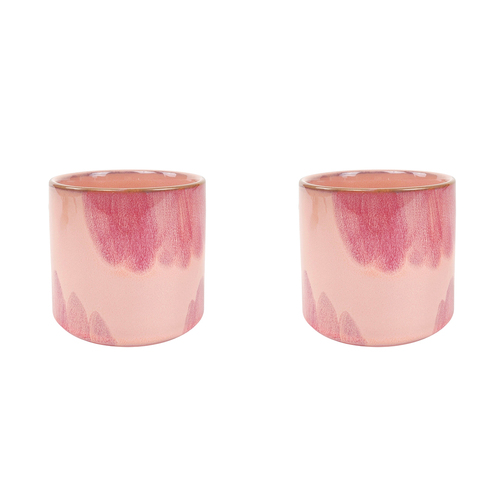 2x Urban 10cm Sofia Ceramic Planter Garden Pot Medium - Pink/Storm