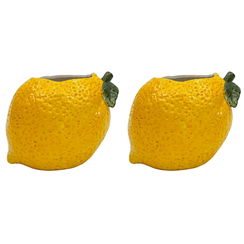2PK Urban Lemon Planter Yellow 13cm Home Decorative Garden Decor