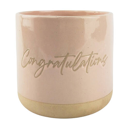 Urban Congratulations 13cm Ceramic Planter Garden Plant Pot - Pink/Sand