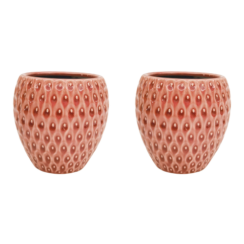 2PK Urban Strawberry Planter Pink 12cm Home Decorative Garden Decor