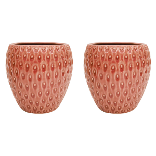 2PK Urban Strawberry Planter Pink 15cm Home Decorative Garden Decor