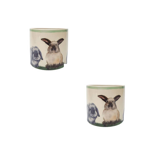 2PK Urban Bunny Animal Home/Garden Plant Pot Brown Planter 12cm