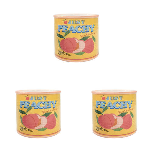 3PK Urban Ceramic Just Peachy Can Outdoor Planter Pot 12x14cm Yellow