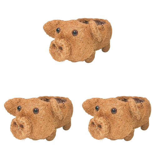 3PK Urban HUSK Pig Planter Brown 15cm Home Decorative Garden Decor