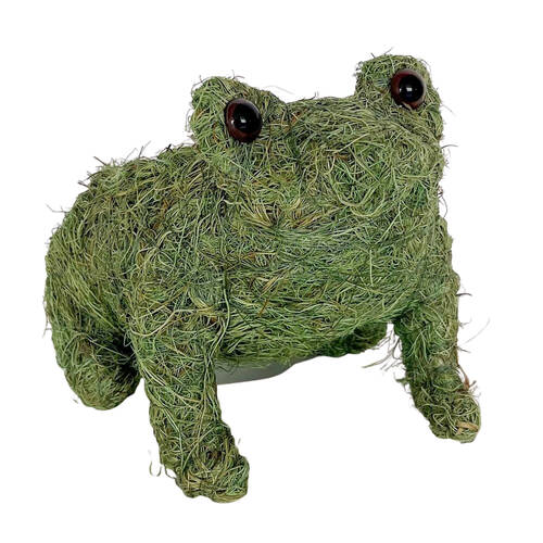 Urban Husk Frog Coconut Fibre Planter Pot 20x15cm Green
