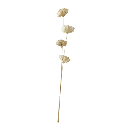 Urban Dried Sola 100cm Flower Buds Stem Floral Decor - Natural