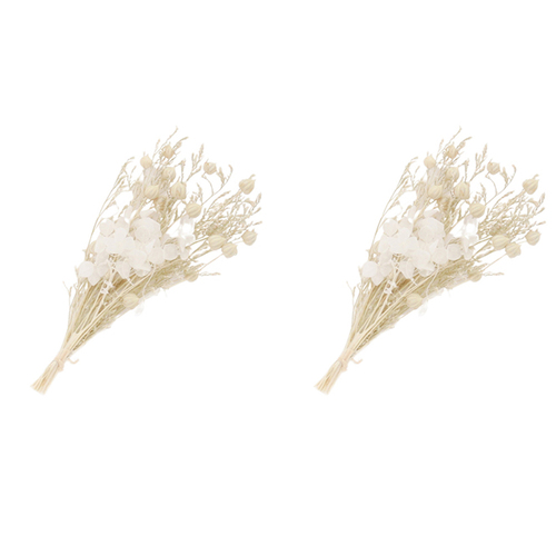 2PK Urban 15cm Dried Floral Thinking of You Card Greeting - Natural