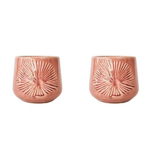 2PK Urban Products Burst Planter Home Decor Salmon 13cm