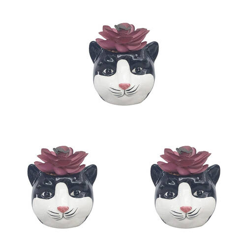 3PK Urban Ceramic Mini Cat Decorative Planter Pot with Plant 10cm White/Black