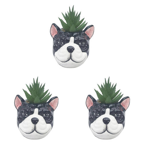 3PK Urban Ceramic Mini Bulldog Decorative Planter Pot with Plant 10cm Black