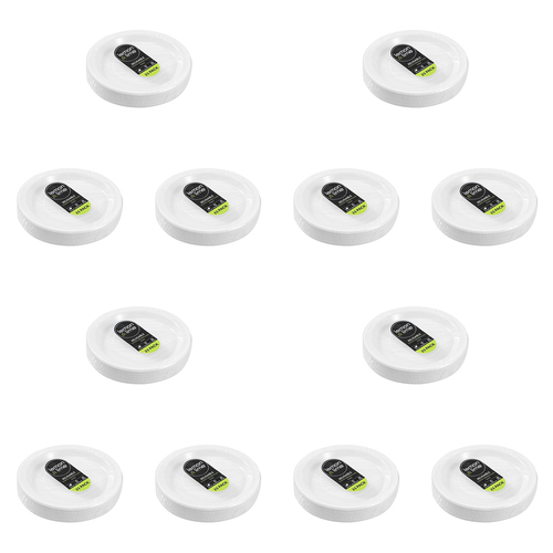 300pc Lemon & Lime Reusable Plastic Serving Plate 22.5cm - White