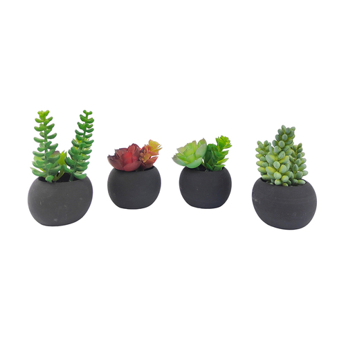 12pc Urban 11cm Mini Potted Succulents Set Artificial Plant - Green