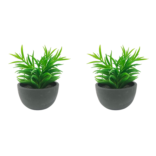 2x Urban Potted 17cm Succulent Artificial Plant - Green