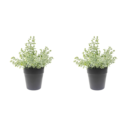 2x Urban Eucalyptus 23cm Artificial Potted Plant - Green