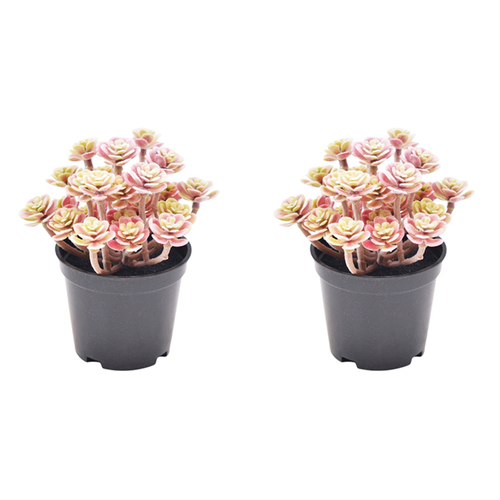 2x Urban Potted Artificial 13cm Roseum Plant Decor - Pink
