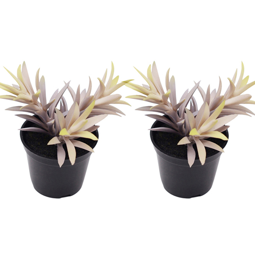 2x Urban 14cm Potted Succulent Artificial Plant - Purple