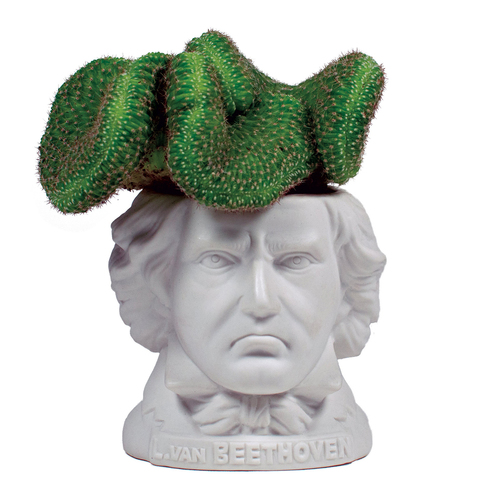 Unemployed Philosophers Guild Ludwig Van Beethoven Planter 9cm - White