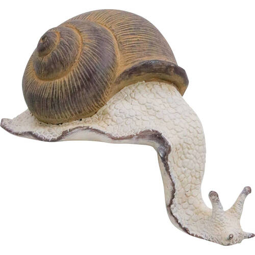 LVD Ledge Snail Resin Figurine Display Decor 16x13cm Large