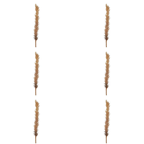 6PK Belle Dried Look Astilbe Spray Home Decorative Plant 160cm Brown