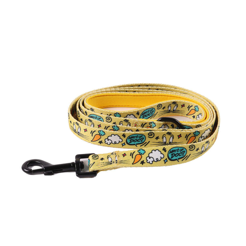The Stubby Club Looney Tunes Themed Dog Pet Walking Lead