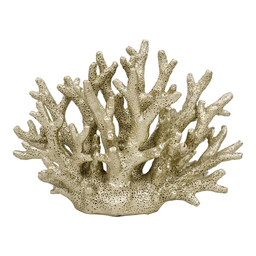 LVD Decorative Resin 19cm Coral Oyster Centrepiece Decor - Gold