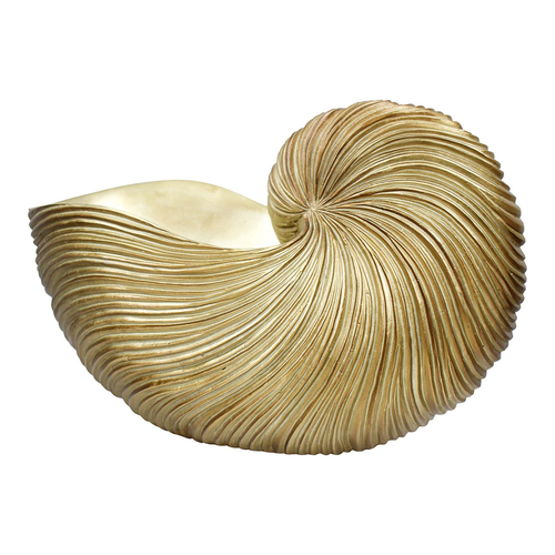 LVD Decorative Resin 35cm Nautilus Shell Decor XL - Gold