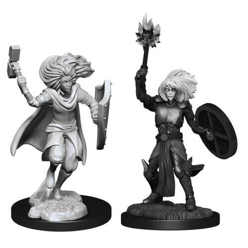2pc Dungeons & Dragons Nolzur's Marvelous Unpainted Miniatures Changeling Cleric Male