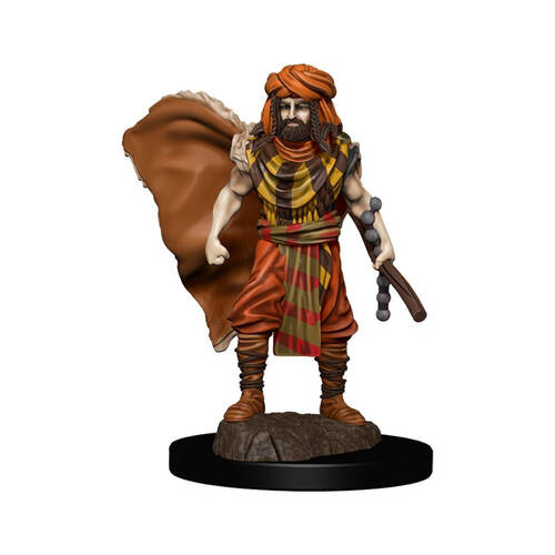 Dungeons & Dragons Premium Human Druid Male Miniature Figure 14y+