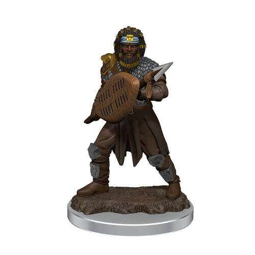 Wizkids D&D Icons Of The Realms Premium Male Human Fighter Figure 14y+