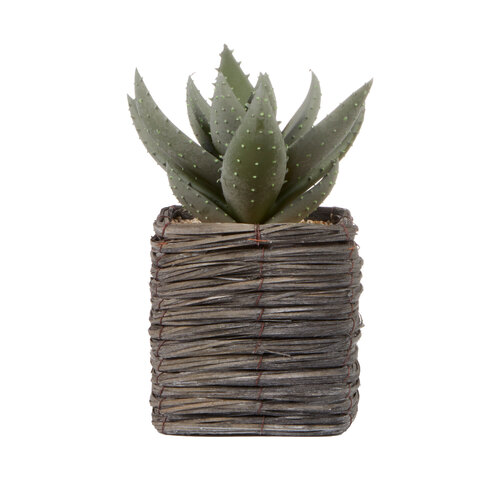 Cooper & Co. Aloe Vera Artificial Plant In Basket 29cm