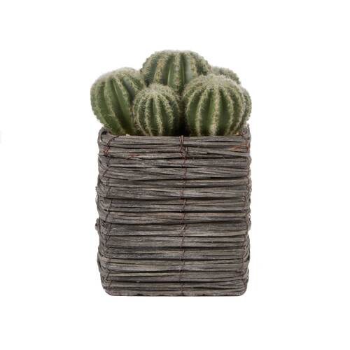 Cooper & Co. 25cm Cactus Artificial Decorative Plant