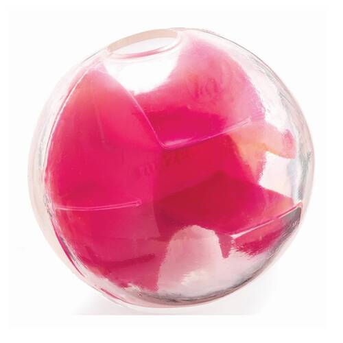 Planet Dog Mazee Slow Food Dispensing Interactive Toy 12.7cm Raspberry